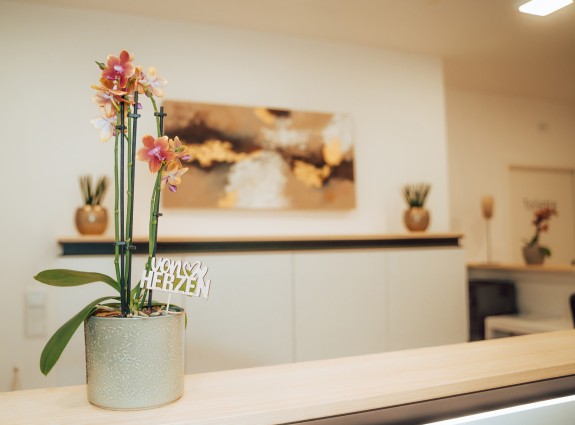 Ansicht einer Topfpflanze auf der Anmeldetheke